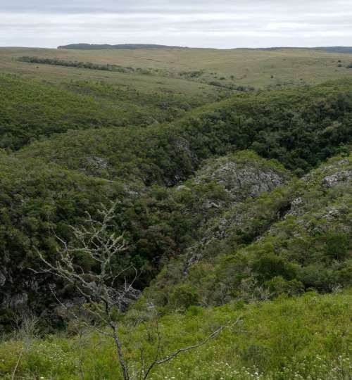 quebradadeloscuervos_5